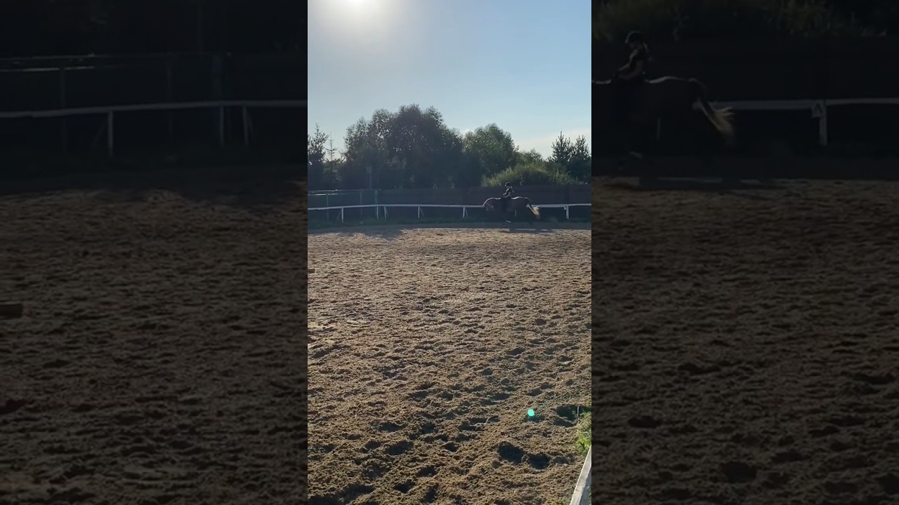 #центрконногонаследиялегенда