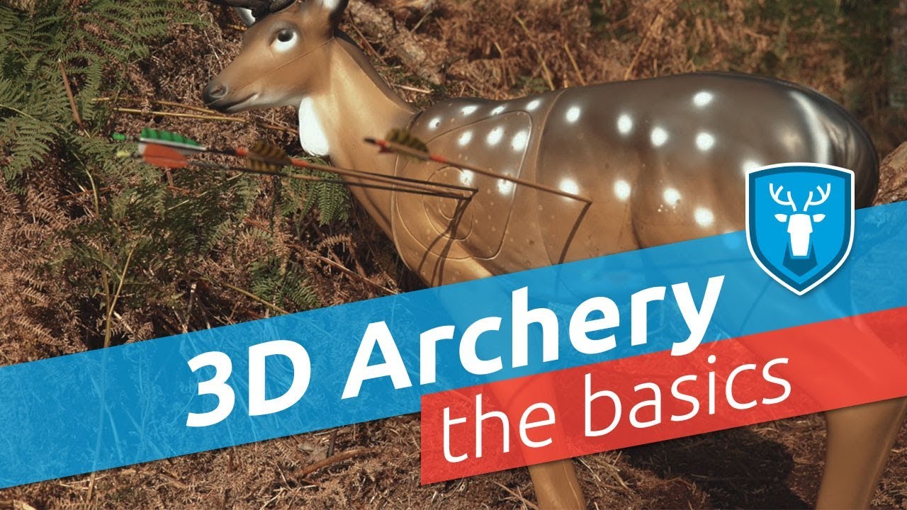 3D schieten; the basics
