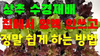 꽃보다상추 76                                          상추 수경재배 집에서 양액 안쓰고 돈 안들이고 정말 쉽게 하는 방법👉안보면 손해