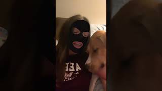 #music #funny #fypシ #lipsyncs #dance #dog #dogmom #dogs #doggo #emma #me #ytshorts