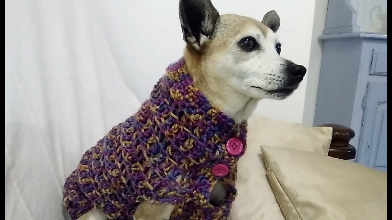 EASY CROCHET DOG SWEATER Any Size Tutorial YouTube EASY CROCHET DOG SWEATER Any Size Tutorial YouTube
