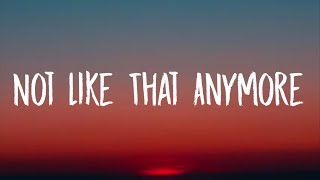 Lola Young - Not Like That Anymore (Lyrics)