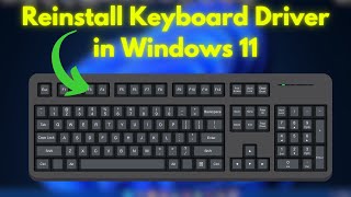 How to Reinstall Keyboard Driver in Windows 11