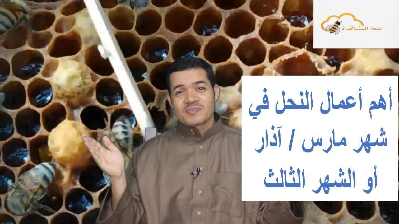 أعمال النحل في شهر مارس / آذار / الشهر الثالث
