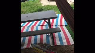 Bull Terrier Swinging On Ammock