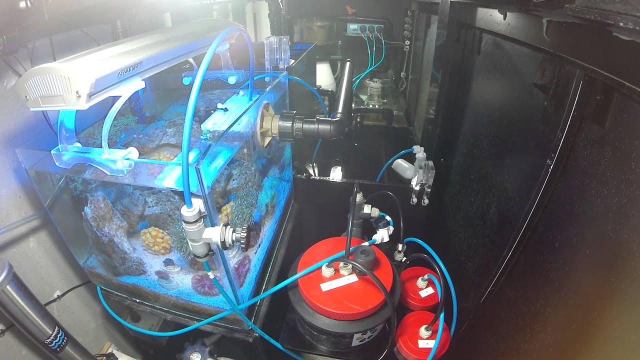 Casa de maquinha, Help Reef parte 2