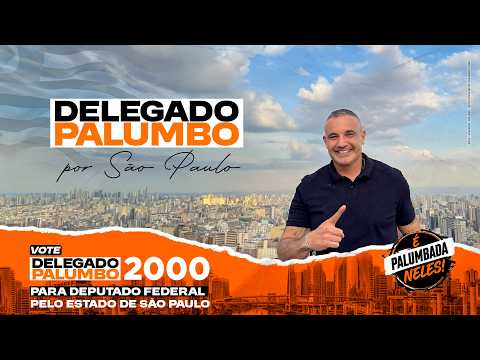 Against corrupts and criminals VOTE Delegado Palumbo 2000
