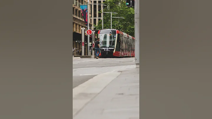 Typical commute in Sydney! #shorts