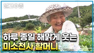 가족들에게 받는 사랑을 미소로 보답하는 95세 미소천사 할머니와 어릴 적 사랑을 다시 돌려주는 가족들│장수의 비밀│알고e즘