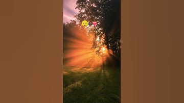 آيات بينات من الذكر الحكيم 😌🎧❤️ تلاوة مباركة #quran #القرآن_الكريم #اكسبلور #لايك #نورالحكمة