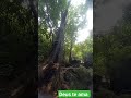 o que seria de nós sem Deus.