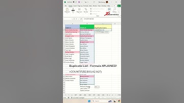 Summarize Duplicates in Excel - Excel Tips and Tricks