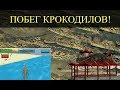 НОВОСТЬ! В КИТАЕ СБЕЖАЛО ОКОЛО 80 КРОКОДИЛОВ!/ НА НАШЕМ КАНАЛЕ 2000 ПОДПИСЧИКОВ!