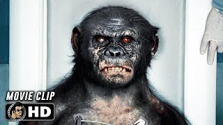 RISE OF THE PLANET OF THE APES Clip - \