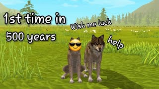 PLAYING WILDCRAFT AFTER 2 YEARS  (SUPER FUNNY) *Wild Craft: Animal Sim Online 3D*