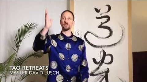 Tao Retreats Testimonial - Master David Lusch