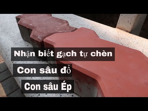 NHẬN BIẾT GẠCH LÁT VỈA HÈ - GẠCH CON SÂU