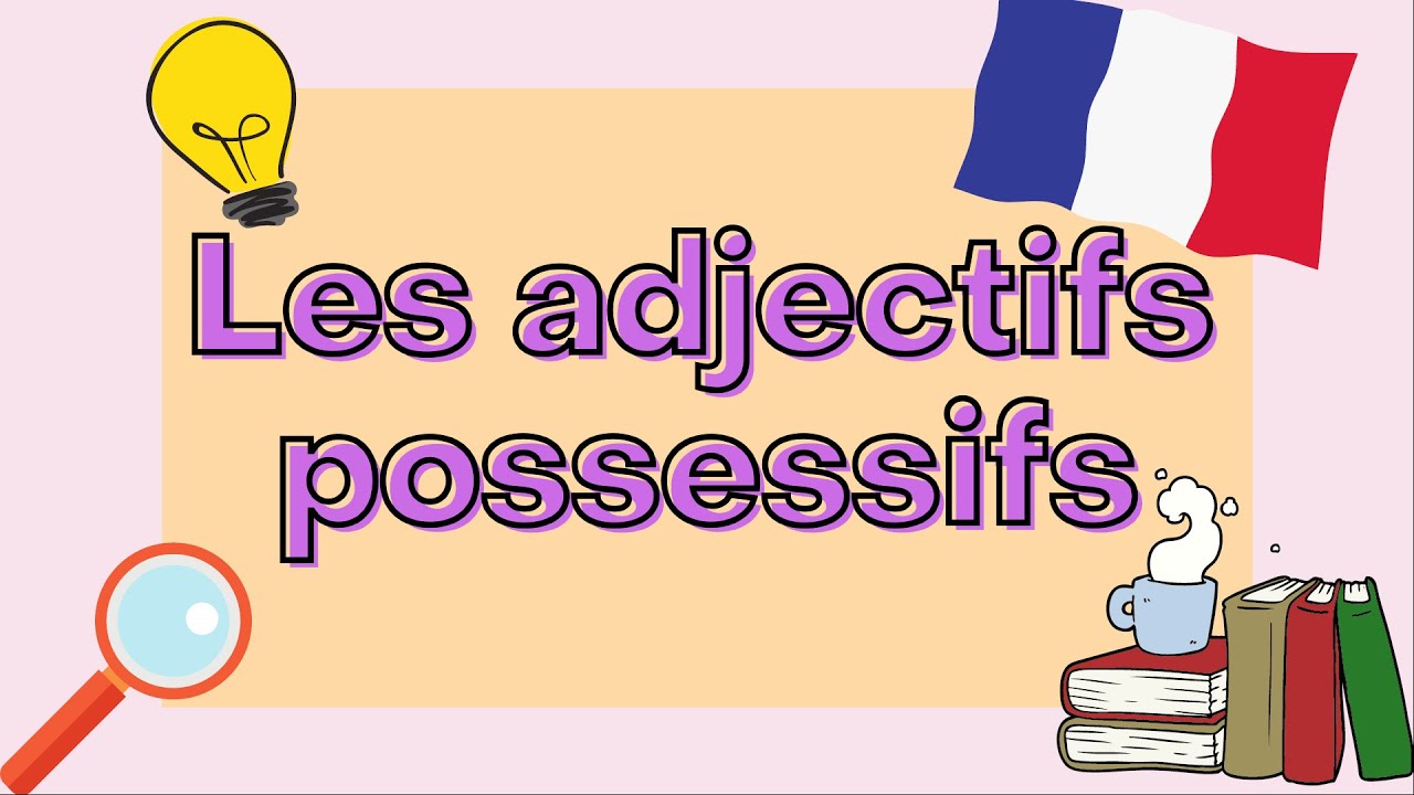 Possessive adjectives in French  French Grammar Explained