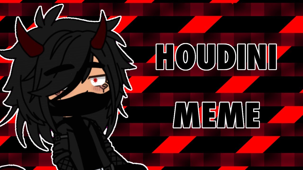 {AViVa} Houdini | Animation Meme