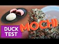 Cette weed ma cass le crne  mochi  leducktest