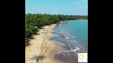 Asplenia | Absent Shield | Fortifying the Body’s Hidden Guard