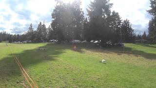 WWHA NAWRA  at Roy, WA May 24, 2014 Program 4 -- Whippet by James Johannes 3 views 9 years ago 27 seconds