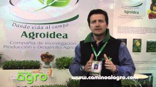 Agroidea -Produccion y desarrollo agricola