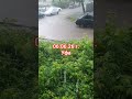 Сегодня у нас дождь
