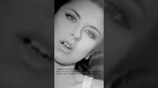 Шуфутинский мог спеть Винтаж #шуфутинский #винтаж #плетнева #одиночество