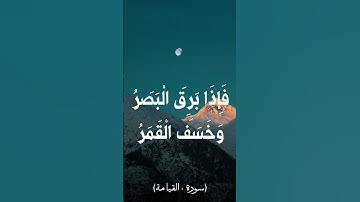 دقيقه من سورة القيامة بصوت الشيخ حسن صالح