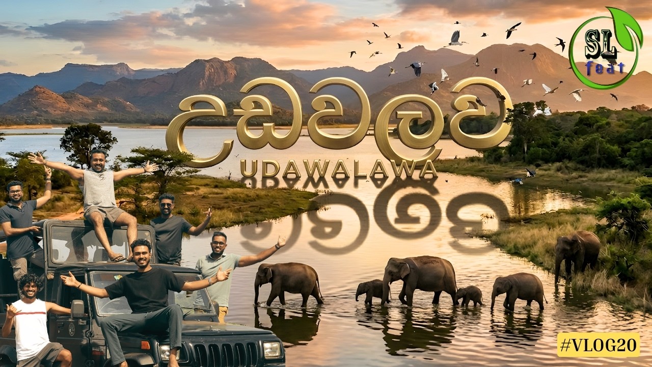 Udawalawa (උඩවලව) Sri Lanka | Wild Safari Adventure 🐘🌿 | SLfeat Vlog 20 #travelvlog
