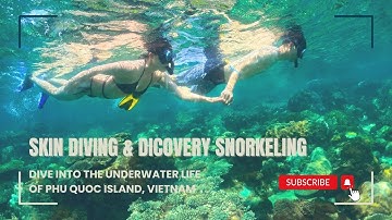 Phu Quoc Marine Life Discovery Snorkeling | ONBIRD EXPERIENCE