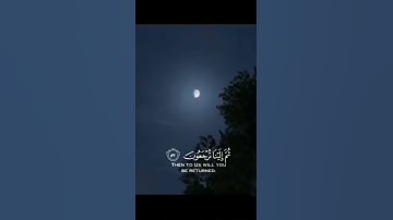 ( أجر لي ولكم 🩶 ) سورة العنكبوت القارئ عبدالرحمن مسعد