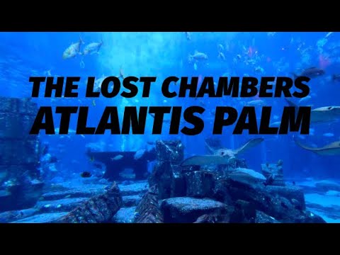 Exploring the Underwater World of The Lost Chambers in Atlantis Palm Dubai | Caroicapture