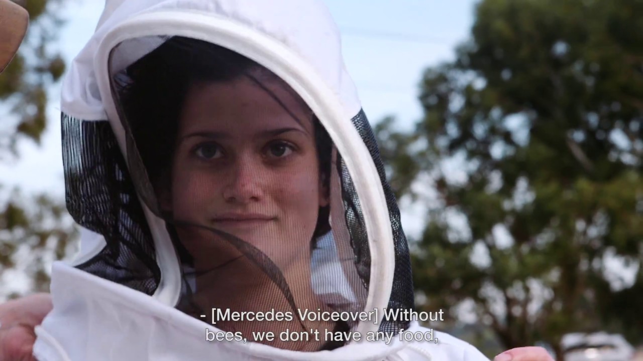 Becoming a Beekeeper | GIVE Program - YouTube