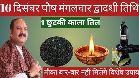16 दिसंबर पौष मंगलवार द्वादशी तिथि के दिन 1 छुटकी काला तिल वाला उपाय जरुर करे || Pradeep Ji Mishra 