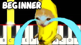 Un-Happy Banana Cat is Crying - Fast and Slow (Easy) Piano Tutorial - Beginner