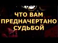 ЧТО ВАМ ПРЕДНАЧЕРТАНО СУДЬБОЙ ПОСЛАНИЕ ВСЕЛЕННОЙ гадание карты таро любви сегодня