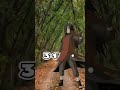 Naruto vs obito 4u edit anime animeedit tiktok naruto narutoshippuden shorts obito youtube