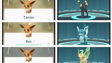 Eevee evolution into Umbreon Leafeon and Glaceon using name trick | 100% evolution | pokemon go |