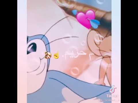 صاحبي توب صاحبي دا الشقيق بحبو حب