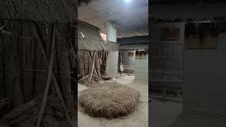State Museum Of Assam Guwahati part 8