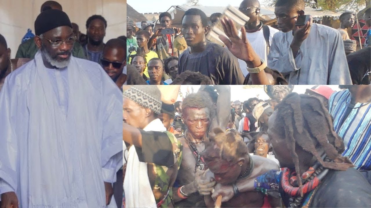 OW 🙈🙏Takusanou Chicory 2025, Ambiance et Siar Des Baye Darou Chez Mame Thierno ...