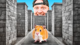 $100,000 Hamster Maze Escape Challenge!