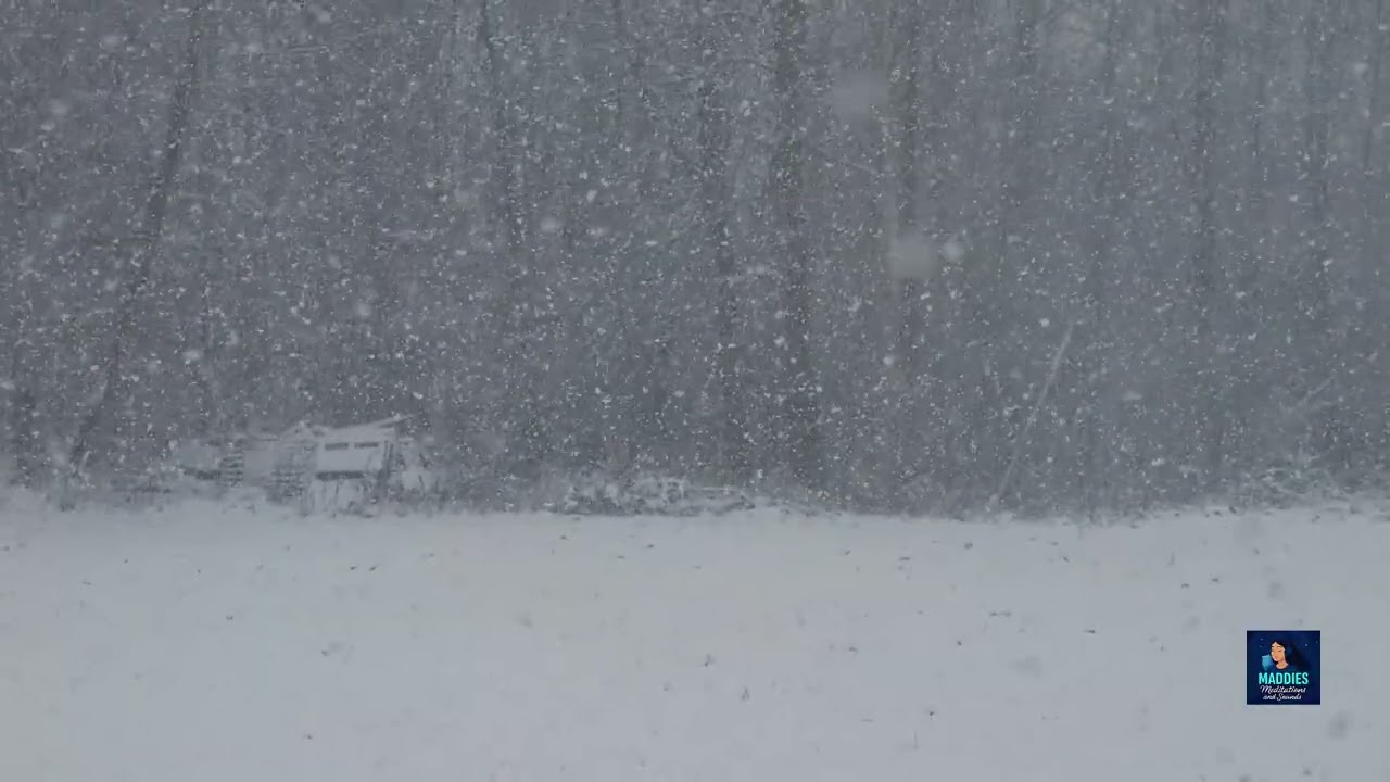 Winter Snow Fall Ambiance in the Woods Relaxing Sleep Aid