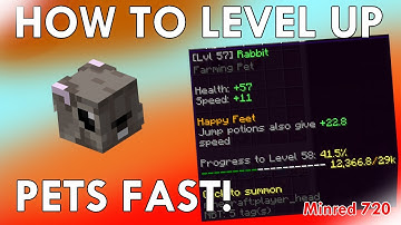 How to level up your pet very fast! (Hypixel Skyblock)