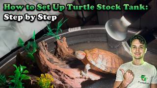 Turtle Stock Tank Setup: Step by step