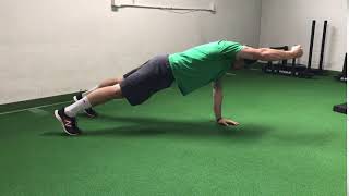PLANK PUNCHES