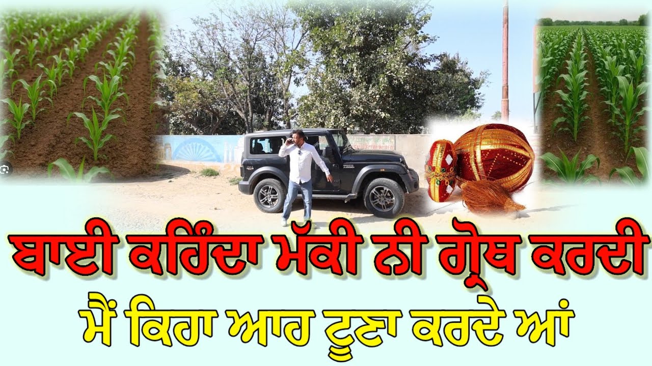 ⁣ਬਾਈ ਕਹਿੰਦਾ ਮੱਕੀ ਨੀ ਗ੍ਰੋਥ ਕਰਦੀ ਮੈਂ ਕਿਹਾ ਆਹ ਟੂਣਾ ਕਰਦੇ ਆਂ ਦੇਖੀਂ ਆਉਂਦੀ ਨੱਚਦੀ 