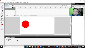 Creating animated Flash Object